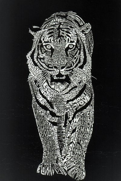 LetterImageExample_Tiger.jpg - Tiger